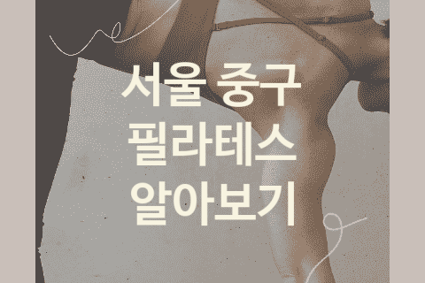 서울 중구 필라테스 대표 필라테스 추천 5곳, 트레이닝 헬스 피트니스