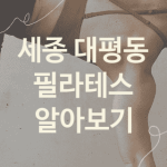 세종 대평동 필라테스 좋은 필라테스 추천 BEST3, 스트레칭 자세교정 뱃살빼는운동