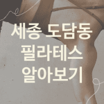 세종 도담동 필라테스 대표 필라테스 추천 BEST2, 헬스 운동치료 운동치료