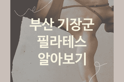 부산 기장군 필라테스 괜찮은 필라테스 추천 5가지, 트레이닝 헬스 운동기구