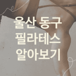 울산 동구 필라테스 대표 필라테스 추천 5가지, 운동치료 골반교정 체형교정