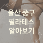 울산 중구 필라테스 대표 필라테스 추천 5곳, 운동 운동 피트니스