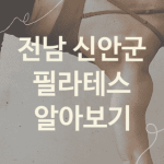 전남 신안군 필라테스 대표 필라테스 소개 4가지, 레깅스 PT샵 운동치료