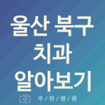 울산 북구 치과 괜찮은 업체 추천 5곳 스켈링 발치